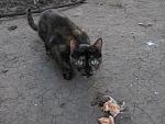     
: IMG_9596.jpg
: 54
:	174.0 
ID:	13369415