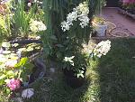     
: 20200707_151226.jpg
: 19
:	261.0 
ID:	13370576