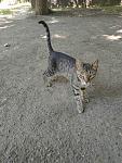     
: _viber_2020-07-07_15-31-08.jpg
: 17
:	154.3 
ID:	13370578