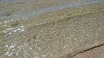     
: _viber_2020-07-09_11-15-24.jpg
: 27
:	147.4 
ID:	13371389