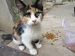     
: IMG_9747.jpg
: 16
:	120.2 
ID:	13371607