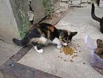     
: IMG_9741.jpg
: 16
:	188.5 
ID:	13371609