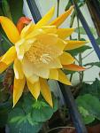    
: IMG_20200709_081343.jpg
: 11
:	69.5 
ID:	13371647