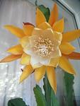     
: IMG_20200709_083803.jpg
: 12
:	51.5 
ID:	13371648