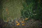     
: DSC_4098_640.jpg
: 8
:	46.2 
ID:	13373382
