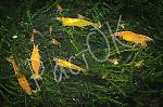     
: DSC_4110_640.jpg
: 9
:	69.9 
ID:	13373385