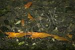     
: DSC_4112_640.jpg
: 8
:	61.4 
ID:	13373386