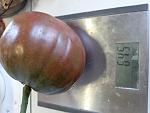     
: 20200711_124316[1].jpg
: 5
:	107.1 
ID:	13374262