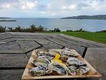     
: IMG_20200628_185727_609.jpg
: 11
:	129.3 
ID:	13374460