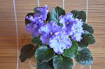     
: DSC_0778.jpg
: 7
:	111.4 
ID:	13374619