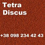     
: Tetra Discus+.jpg
: 25
:	179.4 
ID:	13374869