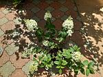     
: 20200717_141602.jpg
: 20
:	256.5 
ID:	13375012