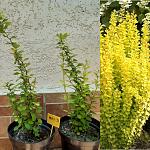     
: IMG_20200717_152101.jpg
: 17
:	189.8 
ID:	13375020