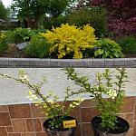    
: IMG_20200717_151651.jpg
: 20
:	191.6 
ID:	13375022