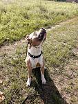     
: IMG-3c875fe110442c6d24bb47c6ad5baddb-V.jpg
: 45
:	257.1 
ID:	13375199