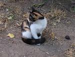     
: IMG_0074.jpg
: 11
:	217.7 
ID:	13375580