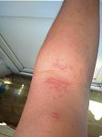     
: IMG_20200721_111438_1.jpg
: 60
:	56.5 
ID:	13376370