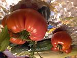     
: 20200720_211611.jpg
: 9
:	111.8 
ID:	13376380