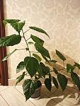     
: IMG_20200627_011104.jpg
: 15
:	107.2 
ID:	13376494