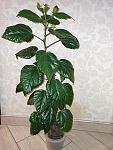     
: IMG_20200627_011405.jpg
: 21
:	140.5 
ID:	13376498