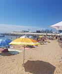     
: 20200723_185624.jpg
: 33
:	114.2 
ID:	13377392