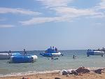     
: 20200723_144010.jpg
: 35
:	122.5 
ID:	13377393