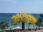     
: IMG-b7d607280159f276dca2e13b3d004e39-V.jpg
: 27
:	166.7 
ID:	13377404