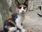     
: IMG_9745.jpg
: 12
:	168.4 
ID:	13377510