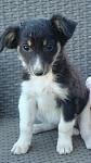     
: DSC07097.jpg
: 18
:	63.0 
ID:	13378898