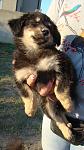     
: DSC07062.jpg
: 18
:	100.1 
ID:	13378941