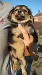     
: DSC07063.jpg
: 17
:	93.3 
ID:	13378942