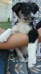     
: DSC07108.jpg
: 17
:	72.4 
ID:	13378943