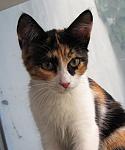     
: IMG_0241.0.jpg
: 13
:	72.5 
ID:	13379033