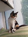     
: IMG_0240.jpg
: 13
:	74.6 
ID:	13379034