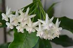     
: DSC_0787.jpg
: 6
:	67.1 
ID:	13379115
