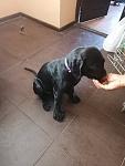     
: IMG-00e21d078960e3b8d5c1a66df205ccff-V[1].jpg
: 50
:	72.4 
ID:	13379804
