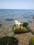     
: IMG_20200730_084538_1.jpg
: 28
:	134.7 
ID:	13379853