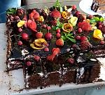     
: tort2.jpg
: 44
:	202.4 
ID:	13380510
