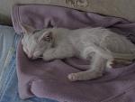     
: IMG_0315.jpg
: 53
:	122.6 
ID:	13381405