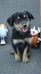     
: DSC07033.jpg
: 23
:	81.1 
ID:	13382340