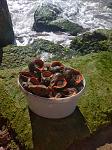     
: IMG_20200804_095744_1.jpg
: 28
:	171.4 
ID:	13382828
