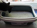     
: IMG_0453.jpg
: 40
:	118.0 
ID:	13383128