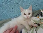     
: IMG_0421.jpg
: 42
:	150.8 
ID:	13383261