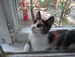     
: IMG_0297.jpg
: 36
:	131.7 
ID:	13383262