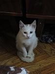     
: IMG_0460.jpg
: 38
:	53.6 
ID:	13383264