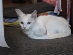     
: IMG_0462.jpg
: 42
:	120.5 
ID:	13383267