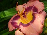     
: P1490425.jpg
: 12
:	86.5 
ID:	13383417