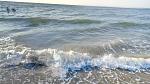    
: P00808-071437.jpg
: 28
:	147.0 
ID:	13384176