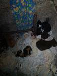     
: IMG_20200808_191458.jpg
: 12
:	78.3 
ID:	13384384