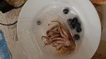     
: IMG_20200809_003734_670.jpg
: 23
:	67.3 
ID:	13384432